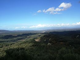 PanoramaGioiaTauro Cosoleto.JPG