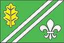 Flag af Pesvice