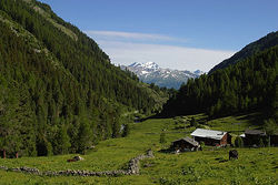 Vista tipica della valle del Tourtemagne.