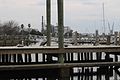 Pod of Pelicans, Fernandina Beach Amelia River docks