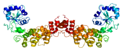 Ақуыз TRNT1 PDB 1ou5.png