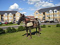 Pymmes Brook Trail DSC00555.jpg