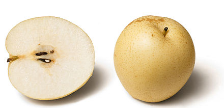 Many varieties, such as the Nashi pear, are not "pear-shaped".