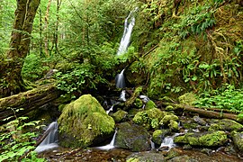 La chute Merriman dans la forêt humide. Juin 2018.