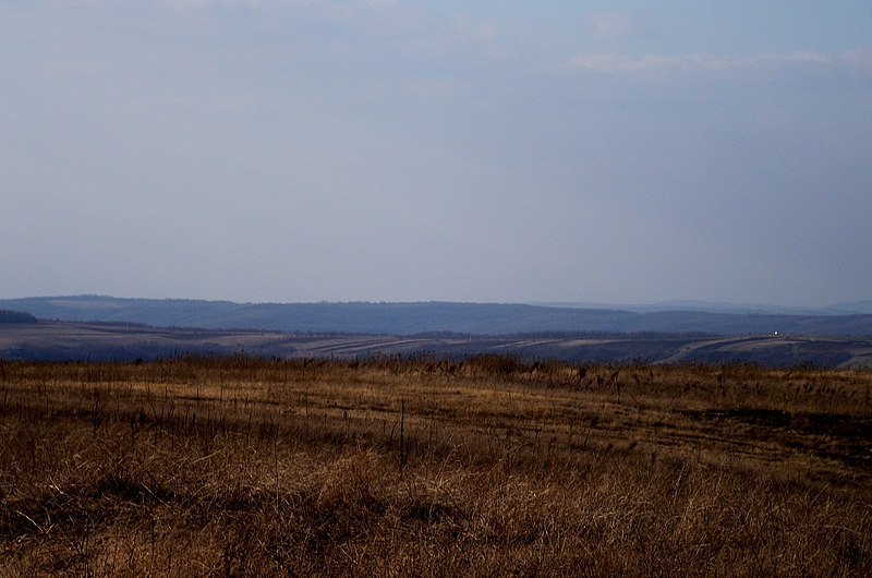 File:R25.1, Moldova - panoramio (2).jpg