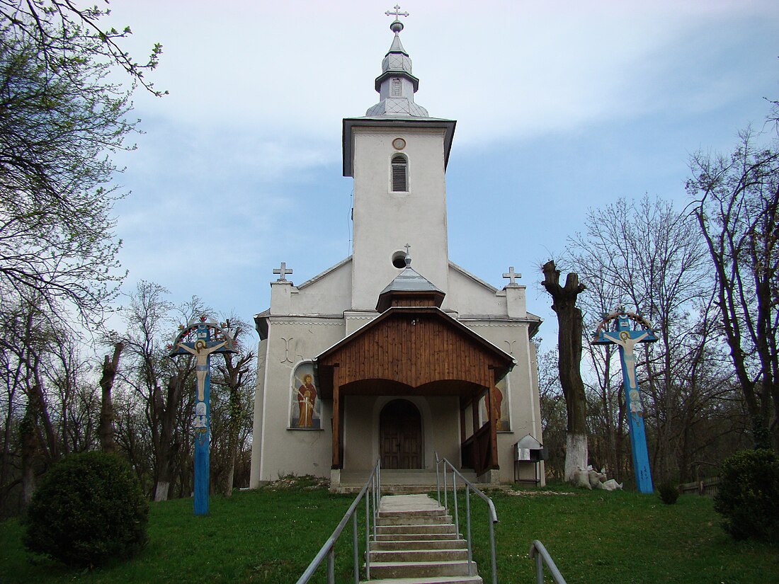 Bârlea, Cluj