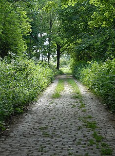 <span class="mw-page-title-main">Railway Fields</span>