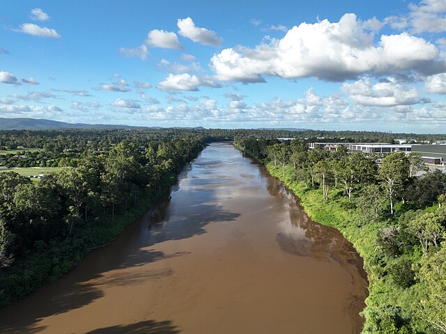Muddy Brisbane river covered with debris after days of raining
