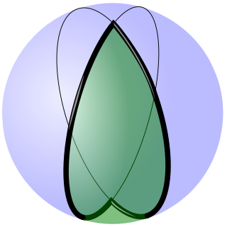 <span class="mw-page-title-main">Spherical lune</span> Area on a sphere bounded by two semicircles joined at antipodal points