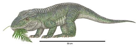 Tập_tin:Revueltosaurus.jpg
