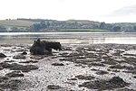 Thumbnail for File:River Teign - geograph.org.uk - 1078190.jpg