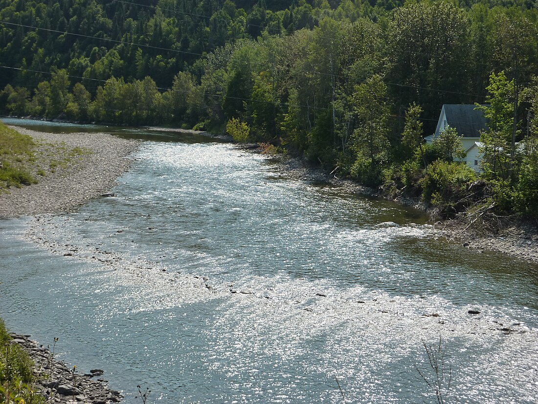 Rivière Matane