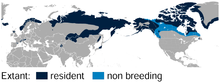 Carte de répartition du lagopède alpin Lagopus muta.png