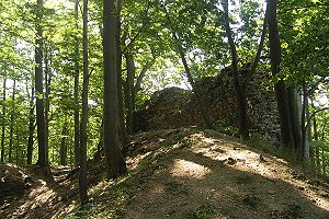 Reste der Burg Roimund