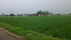Rupnagar, Punjab, India - panoramio (38).jpg