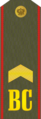 Погон ст. сержанта Сухопутных войск и РВСН ВС России (1994—2010)
