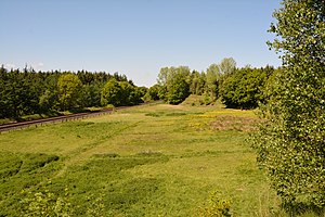 Schleswig-Holstein, Naturschutzgebiet Herrenmoor bei Kleve NIK 5728.JPG