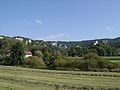 Felsen bei Beuron