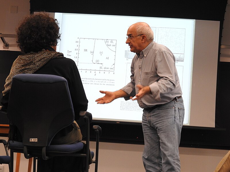 File:Self-organized critical balanced networks (Jun 2019) 10.jpg