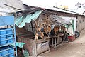 Selling of Dried Fish