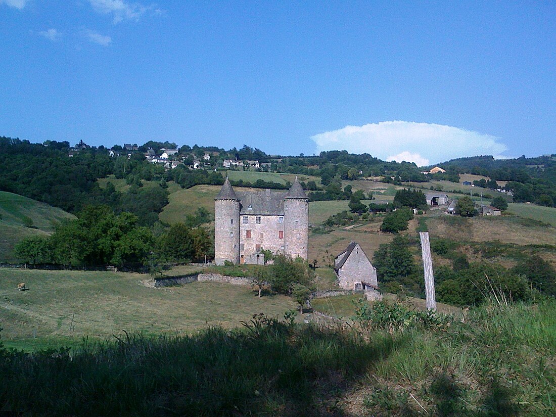 Châtaigneraie (Cantal)