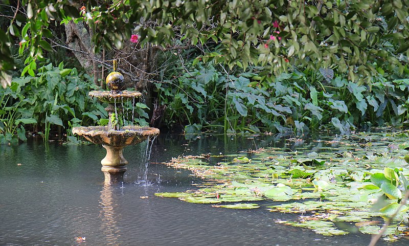 File:Small fountain in pond at Katikati Bird Gardens.jpg