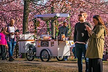 Food cart at the Kirsikkapuisto park in Helsinki, Finland Snack cart in Kirsikkapuisto during cherry blossom in Roihuvuori, Helsinki, 2022 May - 2.jpg