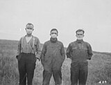 Albertan farmers wearing masks to protect themselves from the flu.