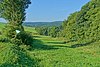 Stühlingen Nature Reserve Braunhalden-Schlattboden Image 5.jpg