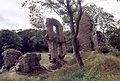 Ruine des Palas und des Bergfrieds (2005)