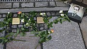 Thumbnail for File:Stolpersteine für Familie Steinhart, Rosenstraße 31, Dresden.JPG