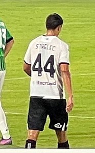 David Strelec, 2022