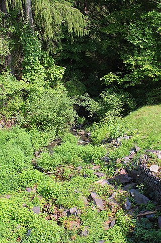 <span class="mw-page-title-main">Sutton Creek (Susquehanna River tributary)</span> River