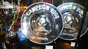 Some of Boca Juniors' international trophies displayed in the club's museum. The Argentine club is, along with Independiente de Avellaneda, the most successful one in CONMEBOL competitions, with 18 titles. Titulos Boca Jrs.jpg