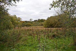 <span class="mw-page-title-main">Tebworth Marsh</span>