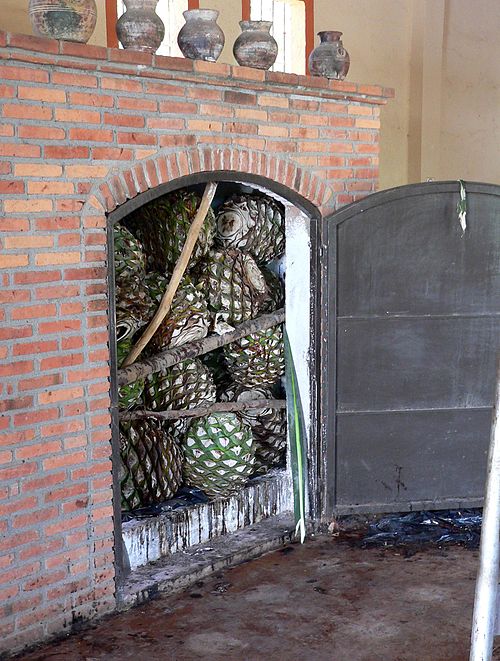 A distillery oven loaded with agave piñas or "pineapples", the first step in the production of tequila post harvest