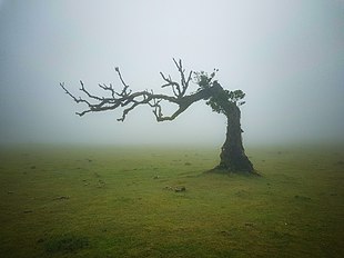 Noia e attività solitarie