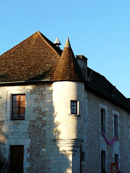 File:Tocane hôtel Paradol (6).JPG