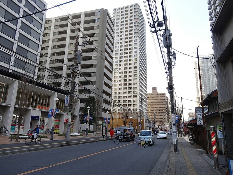 File:Tokorozwa-ginza-street 2013-12-12 2014-02-18 23-14.jpg