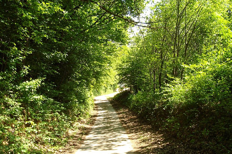 File:Tomašnica - Zaselak Pavlić Brdo - panoramio.jpg