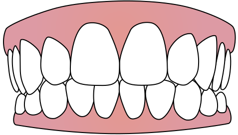 Download File:Tooth icon 001.svg - Wikimedia Commons