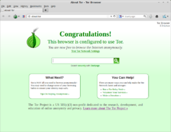 Tor Browser Linux Mint -alustalla.