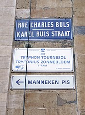 Улица в Брюсселе, названная в честь профессора Турнесоля. Внизу указатель: «К писающему мальчику»