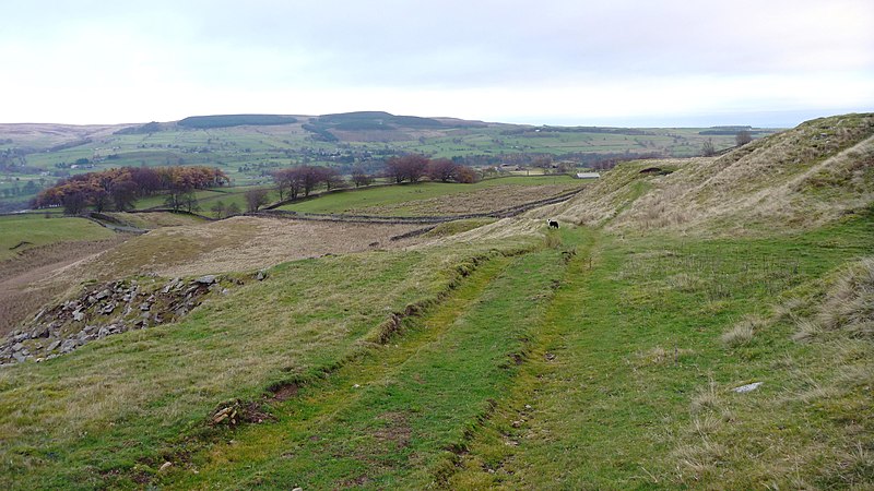 File:Track from Bail Hill Quarries down to Bail Hill Road - geograph.org.uk - 2164172.jpg