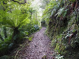 Track scene on the Fenian Track - MC2.jpg