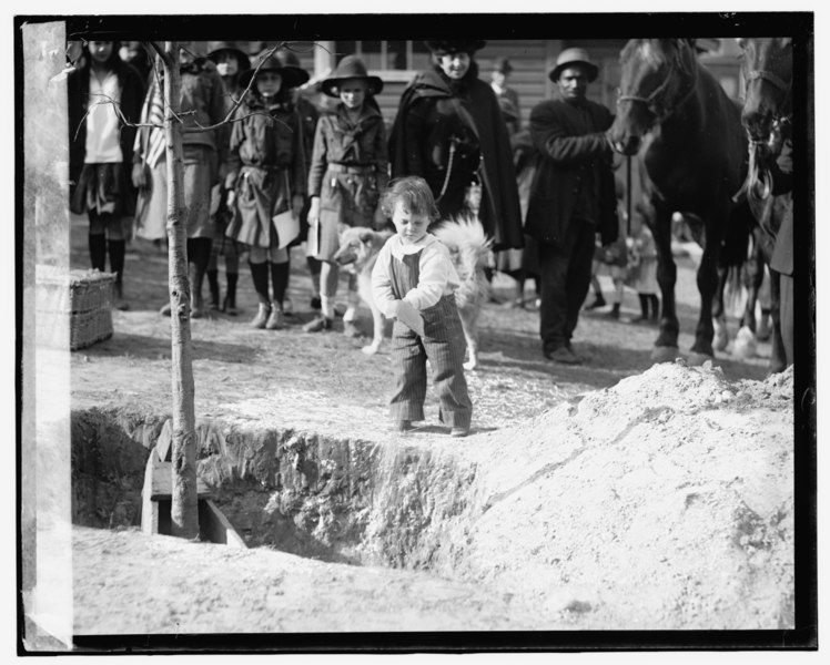 File:Tree planting (...) 20 LCCN2016844574.tif