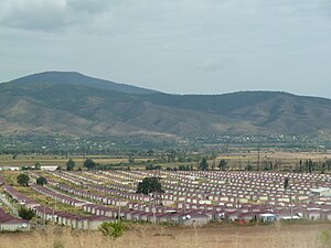 Large group of small, identical homes