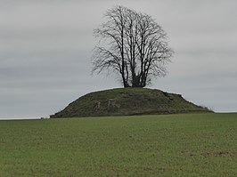 Tumulus van Betz