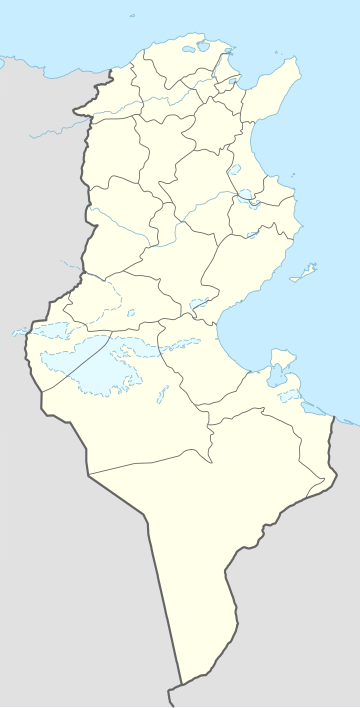 Vaizdas:Tunisia_adm_location_map.svg