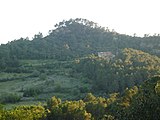 Català: Muntanyes de l'Ordal (Alt Penedès, Baix Llobregat) (Subirats, Olesa de Bonesvalls, Cervelló i altres). This is a a photo of a natural area in Catalonia, Spain, with id: ES510142 Object location 41° 23′ 24″ N, 1° 53′ 24″ E  View all coordinates using: OpenStreetMap